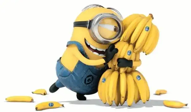 5.png